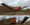 Rockster, RSS615, SCALPEUR, 2 ETAGES, SCALAPGE, LOCATION, VENTE, ACHAT, PIECES, SAV